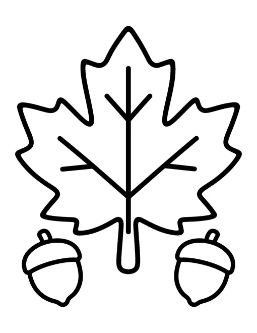 Very simple maple leaf with two acorns, thick outlines, easy coloring page for preschool