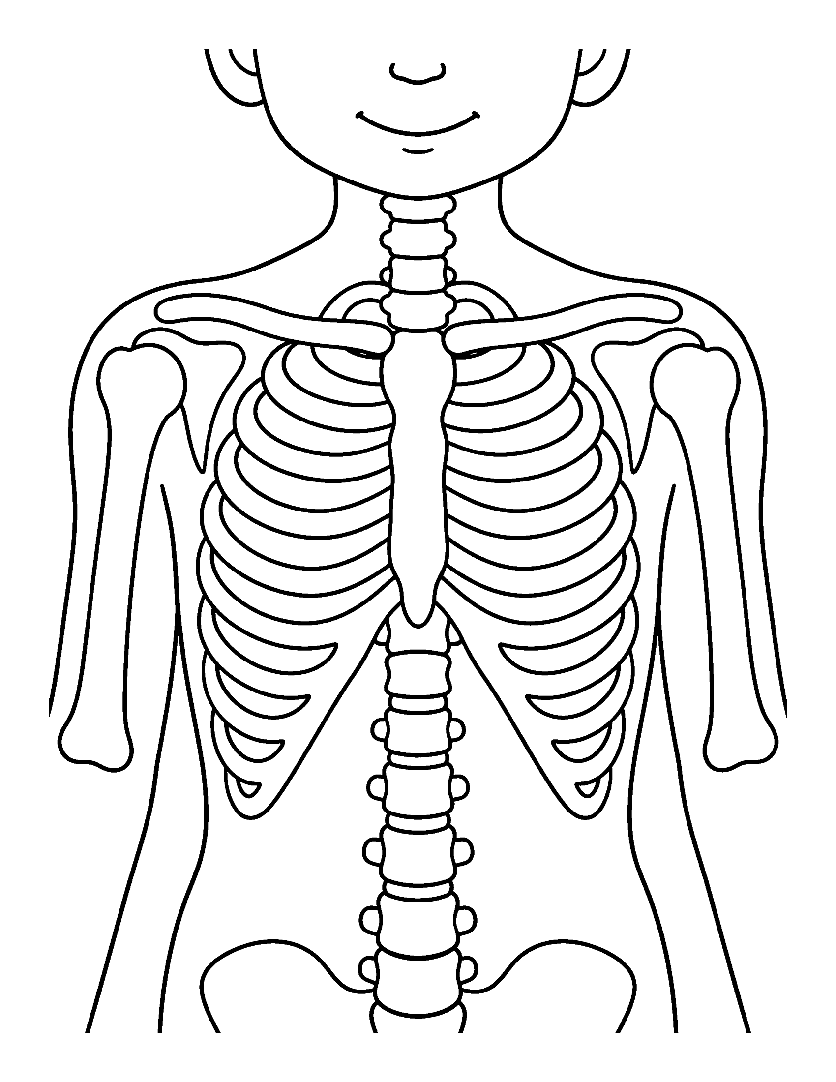 Chest x-ray of a child showing the ribcage, spine, collarbones and shoulder bones, coloring page