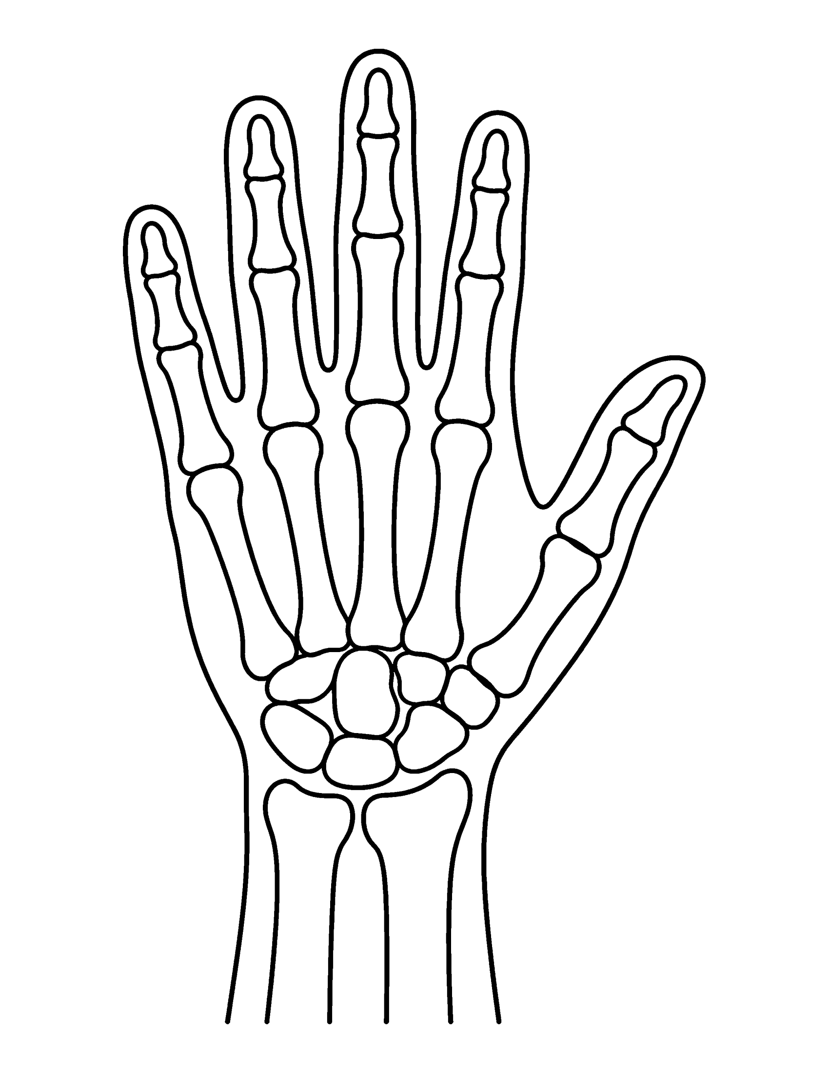X-ray of a human hand showing the finger bones, palm bones and wrist bones, coloring page